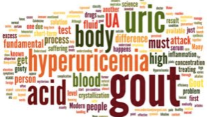 HYPERURICEMIA AND GOUT Image